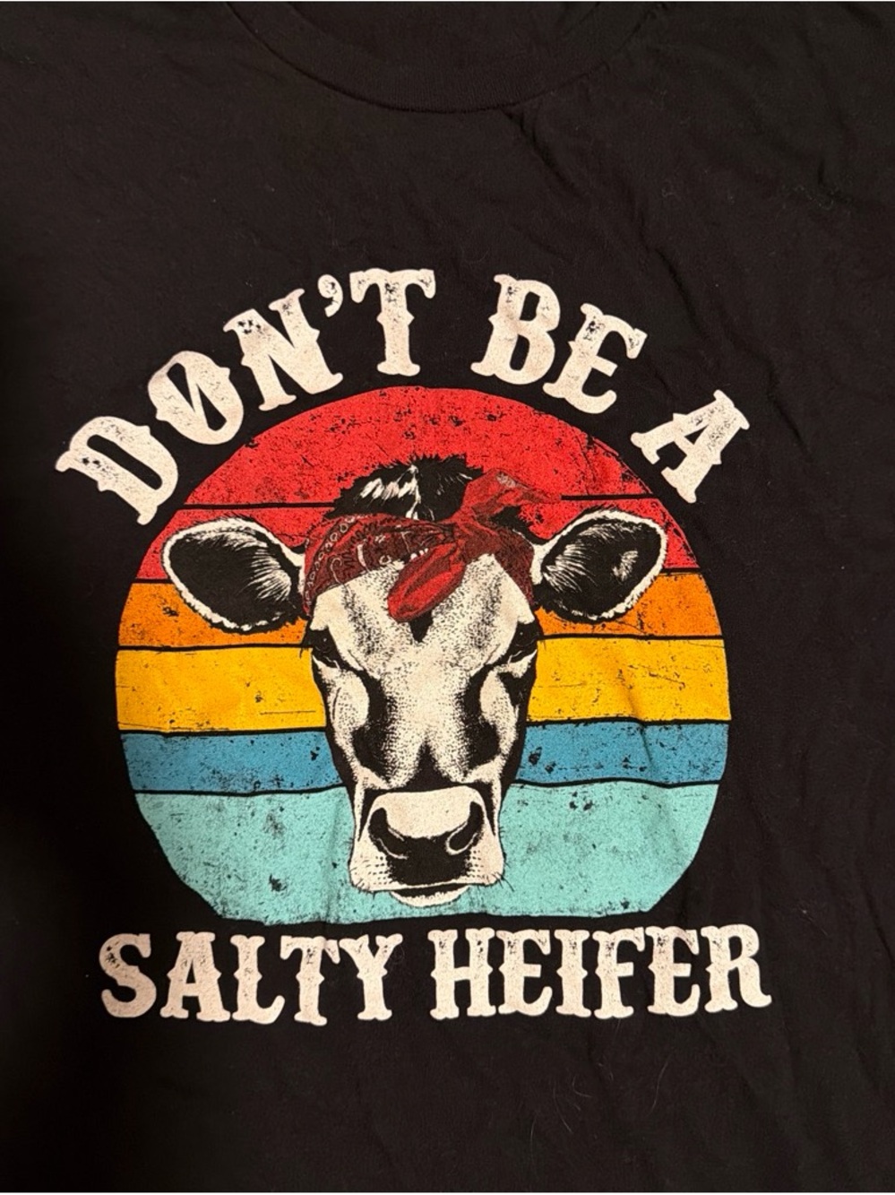 Don’t Be A Salty Heifer 2X short sleeve shirt